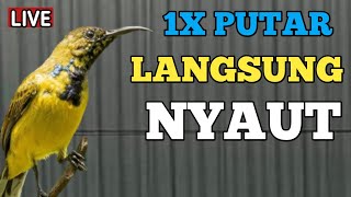 1X PUTAR AJA JAMINAN LANGSUNG GACOR OM LANGSUNG DOR NYAUT