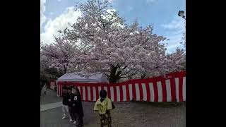 Hirano Jinja