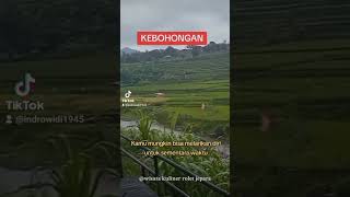 KEBOHONGAN