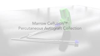 Bone Core Collection with MARROW CELLUTION™