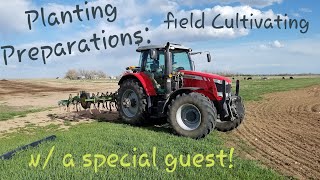 Organic Farming: Planting Preparations with Massey Ferguson 6600 (Field Cultivator)