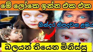 ලෝකයේ ඉන්න එක එක බලයන් තියන මිනිස්සු | Powerful people in the world | M-Nim Studio