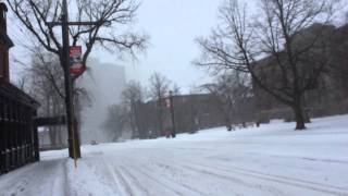 Snow Day (in Halifax)