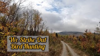 Bird Hunting and Deer Scouting Maine 2024