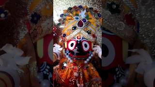 Jai Jagannath Swami Nayana Path Gami Bhabatume #swetaskitchen2060 #puri #jagannathbhajan #shorts