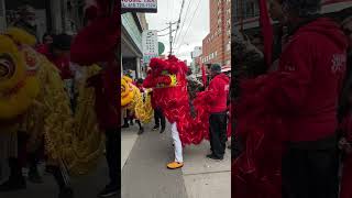 Chinese New Year 🧧 Celebrations 🇨🇦2024|#shorts #lunar