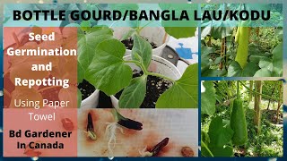 Fastest Method of Bottle Gourd Seed Germination#Complete guide for planting bottle gourd#Canada#2021