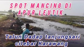 spot mancing di apur letik di Cilebar Karawang Jawa Barat