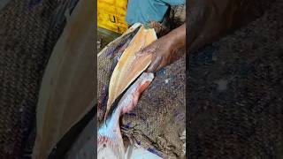 😲pangas cutting borderless fish| amazing fish pangas borderless cutting skills/#shorts #short