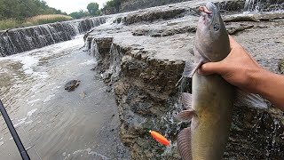 Shallow WATERFALL is holding a nice fish (catch and cook)