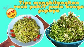 Eps. 44 Gardening || Mudah Banget!!! Tips Menghilangkan Rasa Pahit Pada Bunga Pepaya