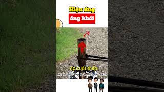 Hiệu ứng ống khói gia tăng phản ứng cháy #shorts