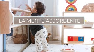 La mente assorbente | Le basi della Psico-pedagogia Montessori