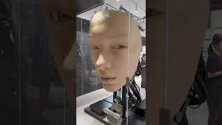 Interactive robot head #globalexplorer #travel #airport #seoul #northkorea #technology