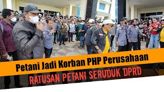 Merasa di PHP Perusahaan, Ratusan Petani Demo di DPRD