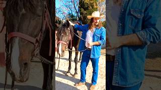 Some time in a Ranch :) 🇹🇷  #ranch #horses #cowboys #wrangler #freedom #country #turkey #stetson