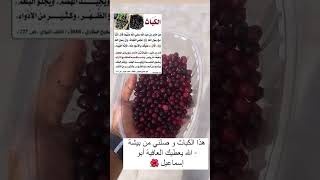 هذا السنة الدياري ما انتجت الكباث على غير العادة 💔إن شاء الله خيرة#قرية_الحقله_لجيزان.#بيشة #بيشه