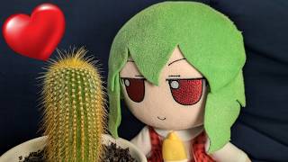 Yuuka finds a cactus!