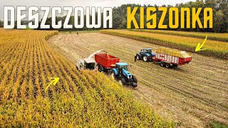 🔥DESZCZOWA KISZONKA Z KUKURYDZY🔥ATAK NIEBIESKICH🔥4X NEW HOLLAND🔥GR PIEKARA🔥