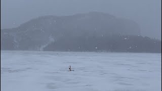 Moosehead Lake Togue fishing derby