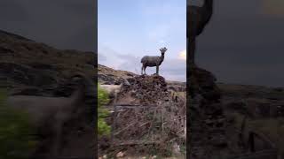 ponmudi hills - KLPTRAVELLER/KLPRADEEP