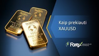 Prekybos paslaptys su auksu (XAUUSD)