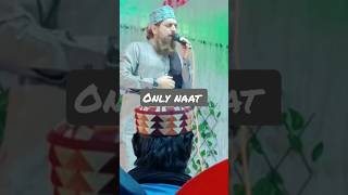 Ali Ali | Sayyed Abdul Wasi | #gulzaremillat #naatstatus #shorts