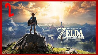 Maybe saving Hyrule | Breath of the Wild