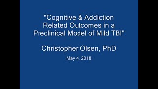 Cognitive & Addiction Related Outcomes in a Preclinical Model of Mild Traumatic Brain Injury