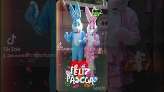 Páscoa na GURI Grupo Universitário de reabilitação infantil com os Coelhos Ronaldo  e Lourdes Layla