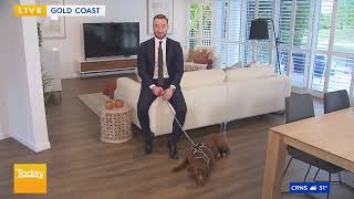 Today Show | Willcox Estate Agents