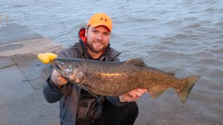 PIER FISHING LAKE ONTARIO SALMON!