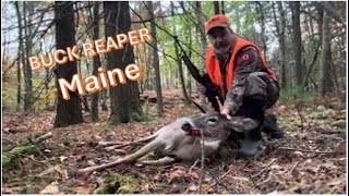 Maine opener big old doe in zone 24 !