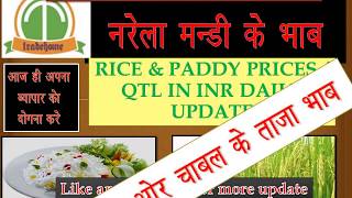 1121 Basmati Rice and Paddy prices  Today  09-11-2017