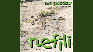 Nefili (studio)