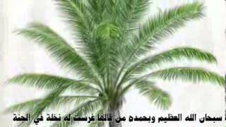 كيف تصبح أغنى الأغنياء - YouTube