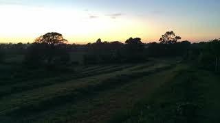 Harvesting silage at La Brigade Farm