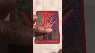 What’s Your Person’s Secret? (Tarot Card Reading) #shorts #twinflamesoulmatelovereading #secrets