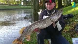 Streetfishing Zwolle