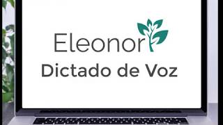 Dictado de Voz Eleonor