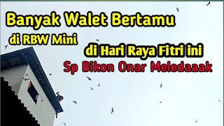 SP Bikin Onar Vs Tarik Senja Revisi 3 minggu On