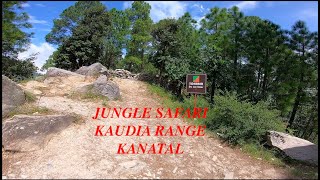 TIDHARIA VIEW POINT | KAUDIA RANGE | KANATAL | UTTARAKHAND | JUNGLE SAFARI