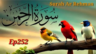 Surah Rahman | Ep - SR252 By Qari Abdul Waris | سورہ رحمٰن55 |Beautiful Recitation | Edited&04212