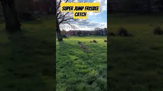 super jump frisbee catch