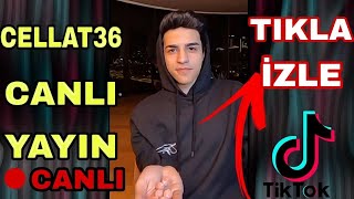 Cellat36 tiktok canlı yayın | Komşusu şikayet ediyor