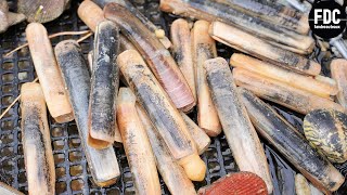 LA PÊCHE AUX COUTEAUX... BON APPÉTIT BIEN SÛR !!!