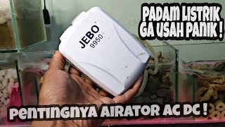 REVIEW Airator AC DC JEBO 9950 Bisa tahan 2 Hari tampa di Cas . Pemakaian selama 5 bulan!!!