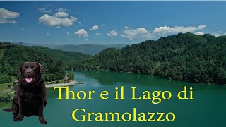 Thor Labrador chocolate al Lago di Gramolazzo drone dji Mavic 2 Pro footage 4k