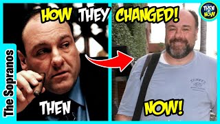 THE SOPRANOS 🤩 THEN AND NOW 2021 - See how they changed!