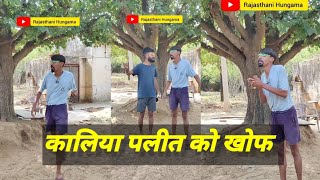 नाथू बाबा से मांगी माफ़ी😊😊 ll jitiya Krishan ki comedy video ll Rajasthani Comedy ll #reaction video